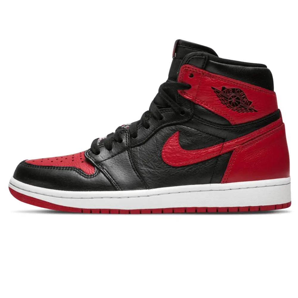 Air Jordan 1 Homage To Home D8471204