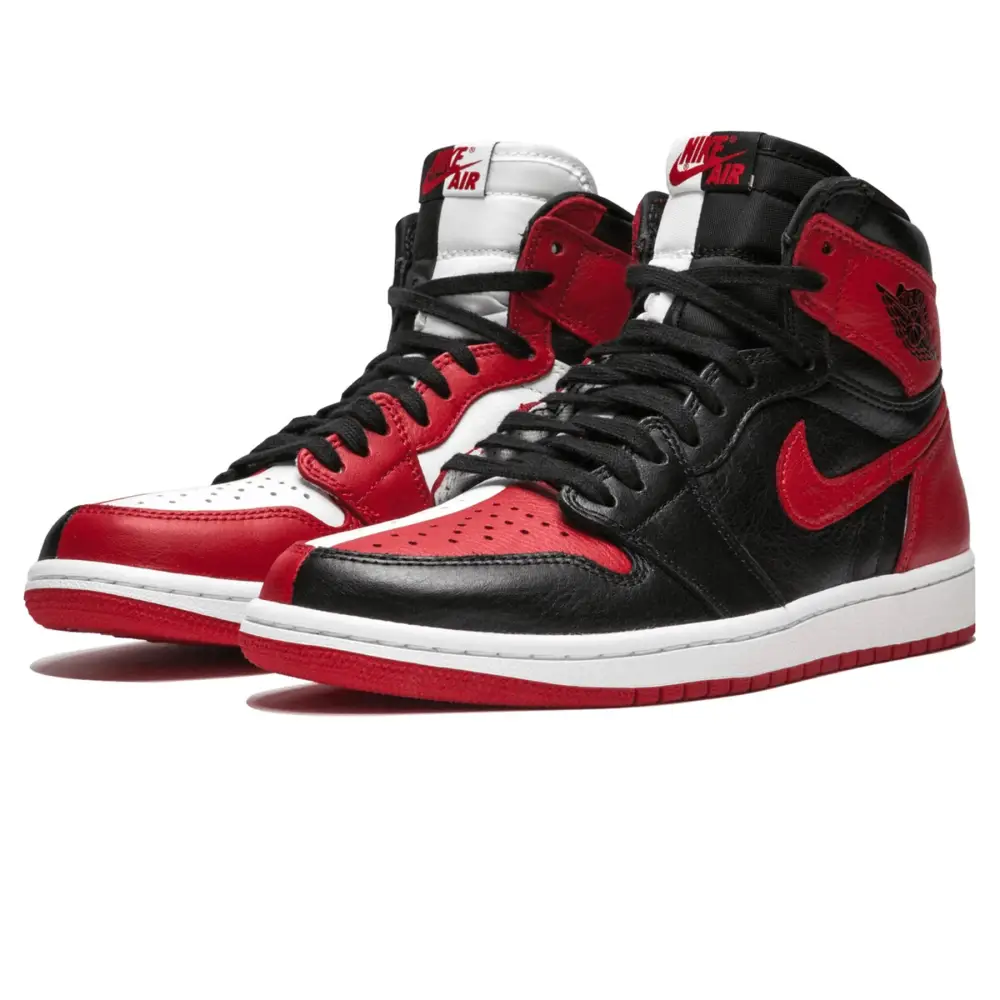 Air Jordan 1 Homage To Home D8471204