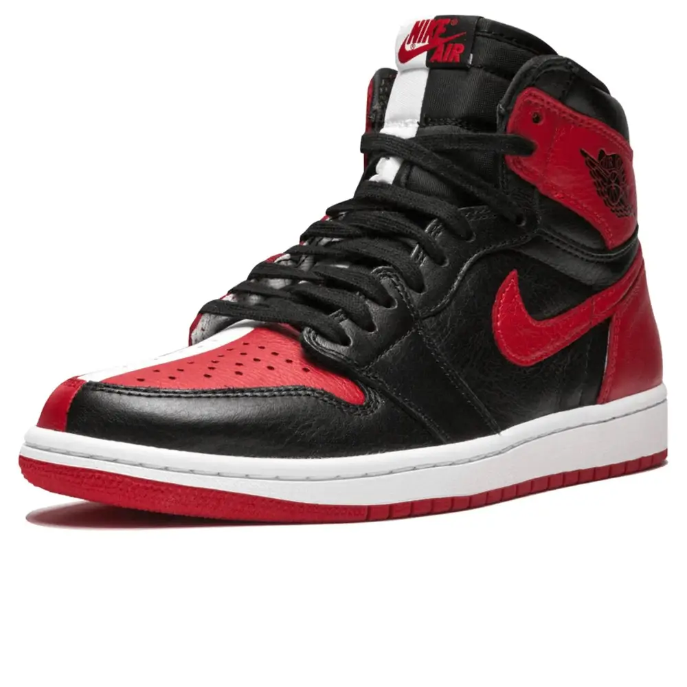 Air Jordan 1 Homage To Home 