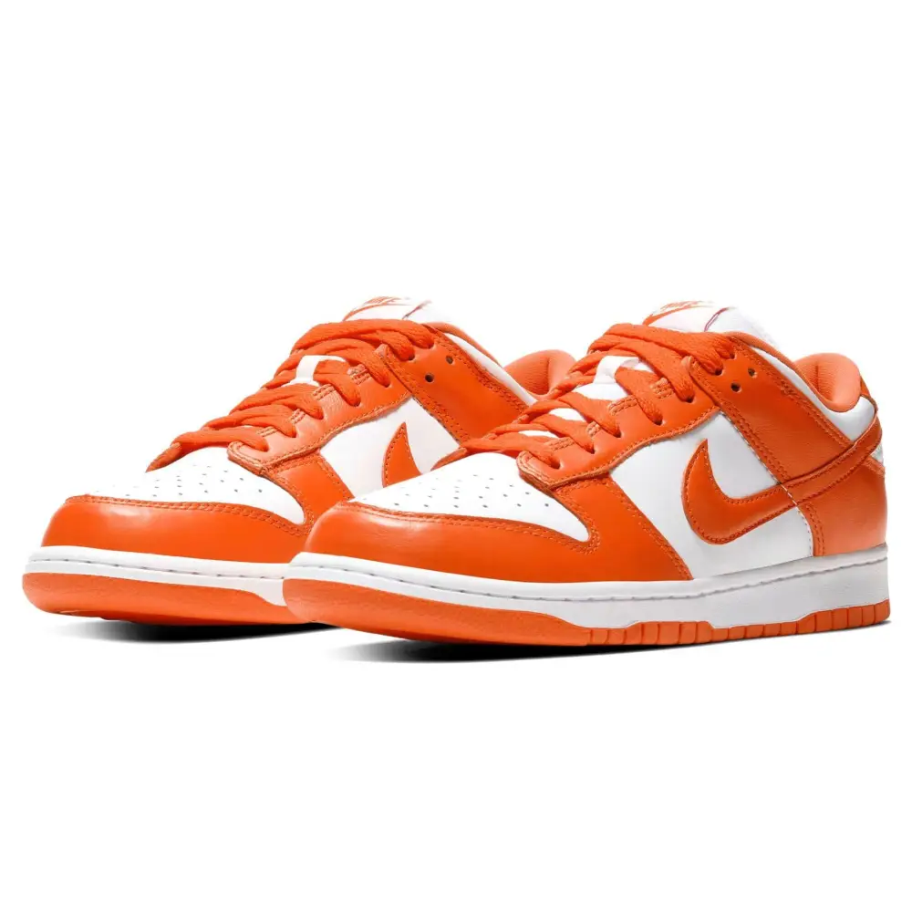 Nike Dunk Low Retro SP 'Syracuse' F01C6335