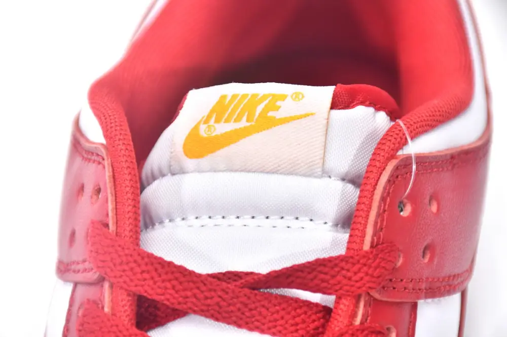 Nike dunk Gym Red Dunk Low Gym Red DD1391-602
