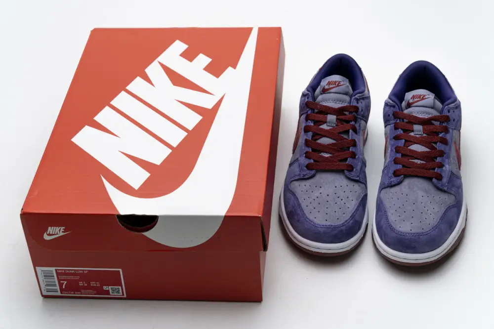 Nike Dunk Dunk Low “Plum” CU1726-500