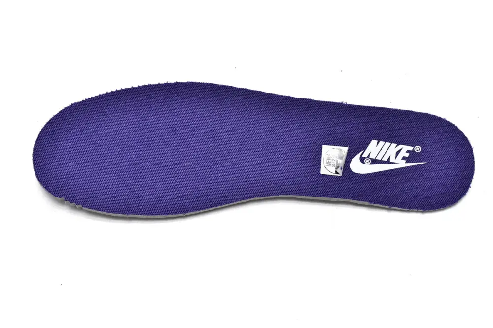 Nike dunk Purple reps  Dunk Low Championship Court Purple DD1391-104