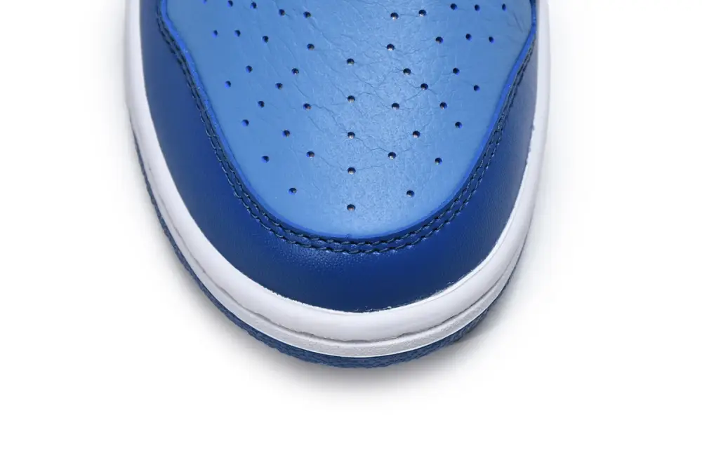 Nike dunk Dunk Low Dark Marina Blue DJ6188-400