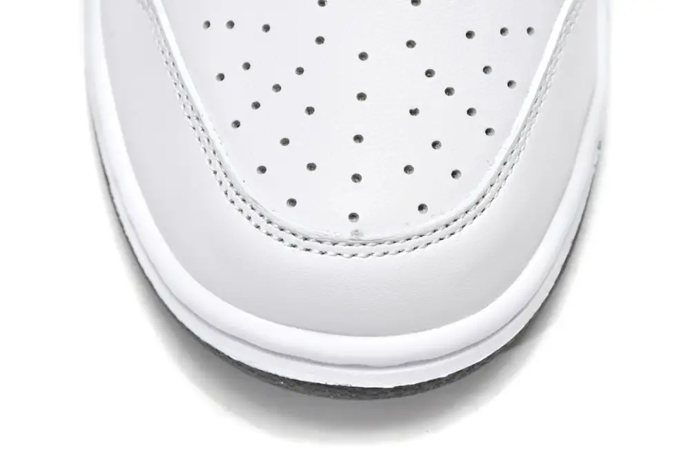 Nike Dunk Low White Black DD1503-113 