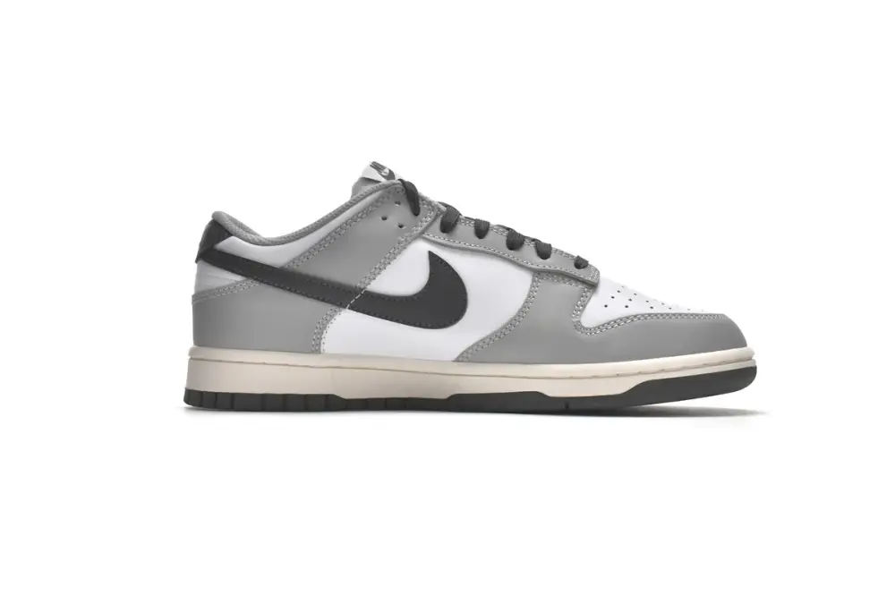 Nike Dunk Low Light Smoke Grey DD1503-117 