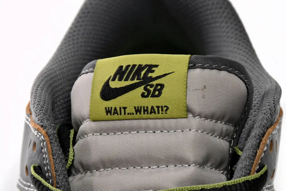 Nike Dunk Low SB Friends and Family FD8775-002 