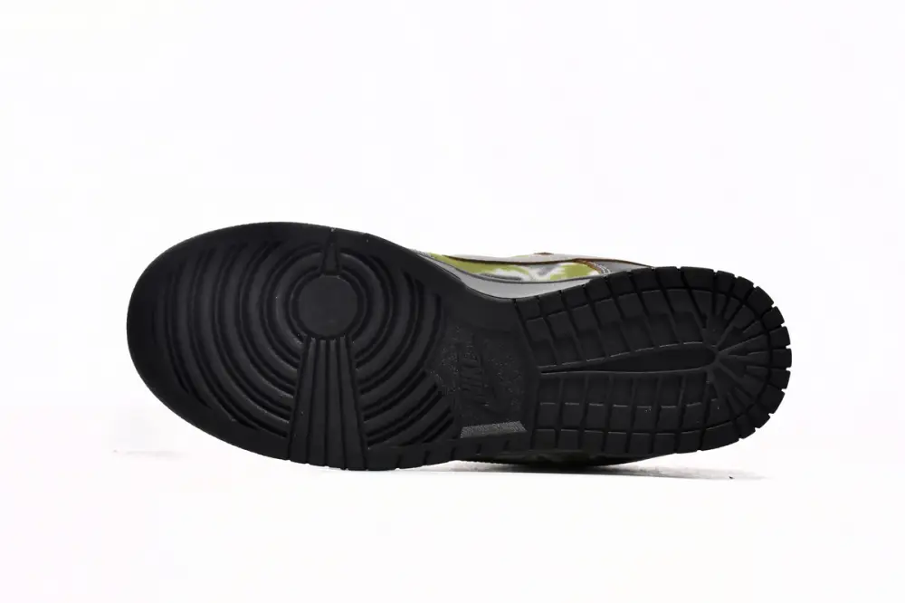 Nike Dunk Low SB Friends and Family FD8775-002 