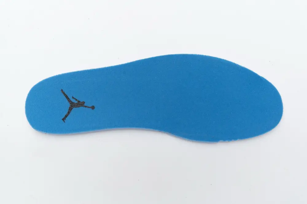 Air Jordan 1 Low Palm Tree CK3022-107 