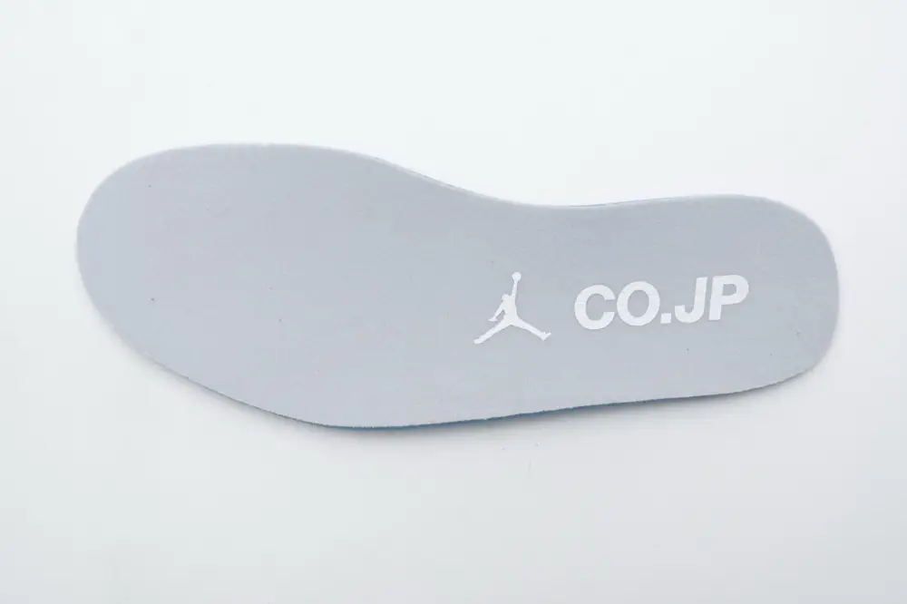 Air Jordan 1 Retro High CO Japan Neutral Grey (2020) DC1788-029 