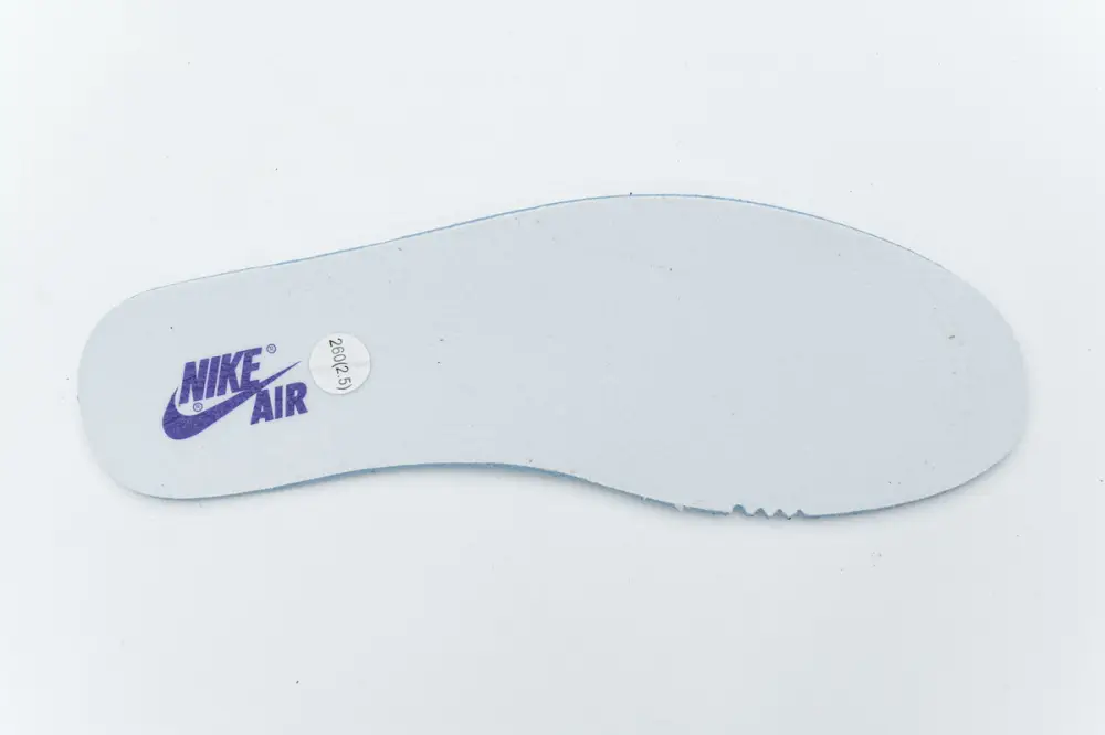 Air Jordan 1 Retro High Court Purple 555088-501 