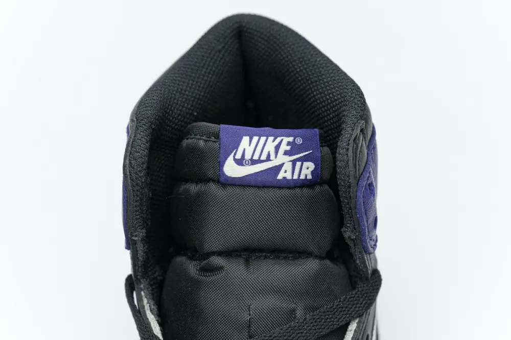 Air Jordan 1 Retro High Court Purple 555088-501 