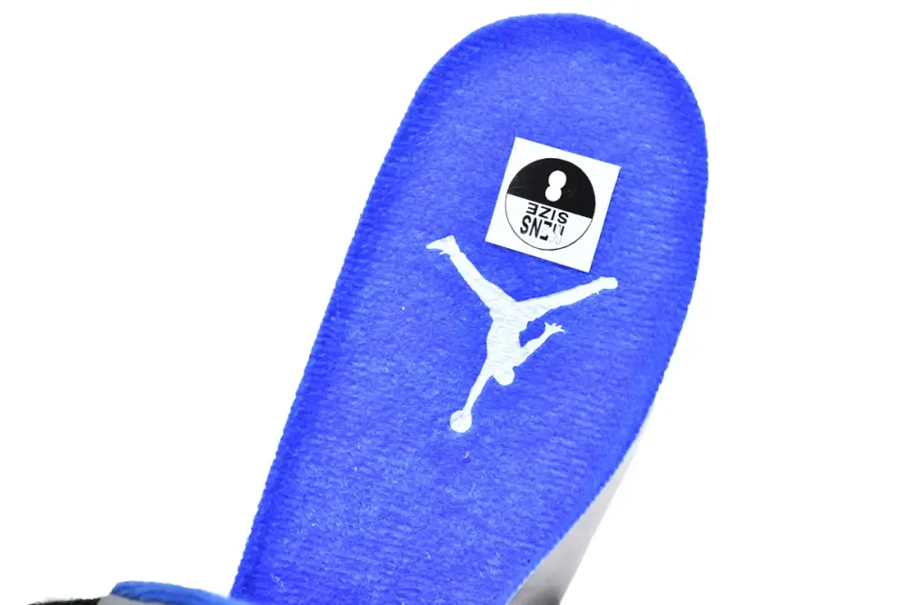Air Jordan 5 Reps Jordan 5 Racer Blue CT4838-004