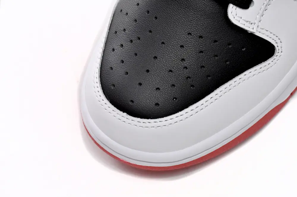 Nike Dunk Low Black and Red FD9762-061 