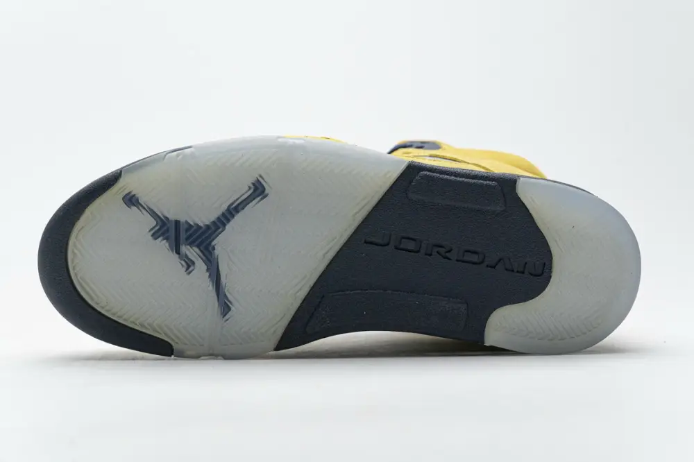 Air Jordan 5 Retro Michigan (2019) CQ9541-704 