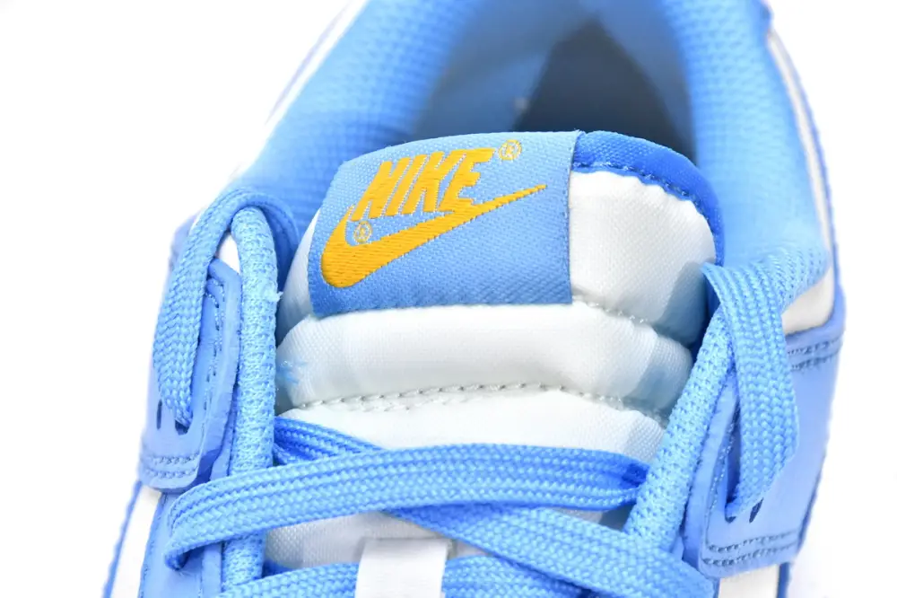 Nike dunk Coast Dunk Low Coast DD1503-100