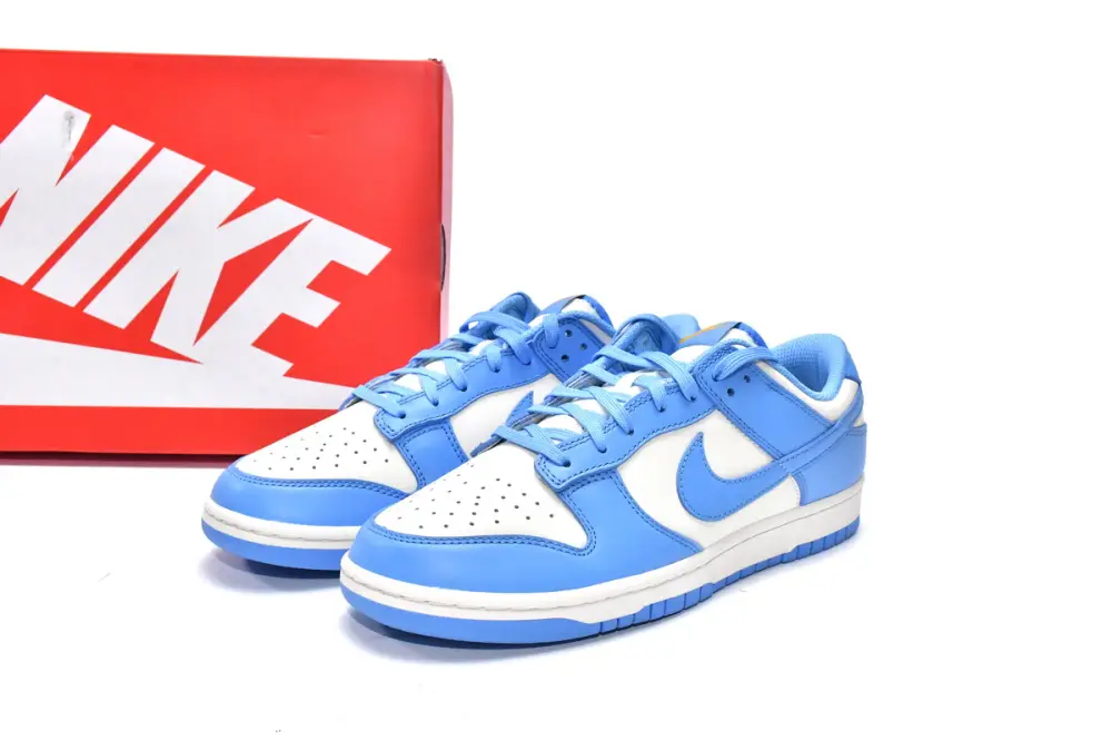 Nike dunk Coast Dunk Low Coast DD1503-100