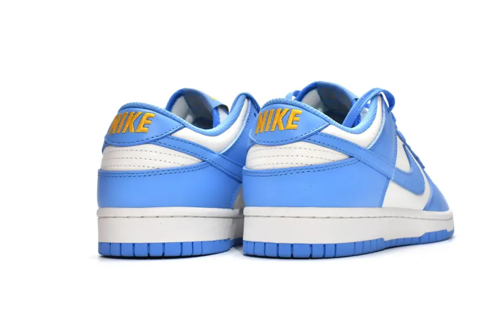 Nike dunk Coast Dunk Low Coast DD1503-100
