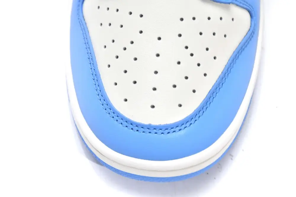 Nike dunk Coast Dunk Low Coast DD1503-100