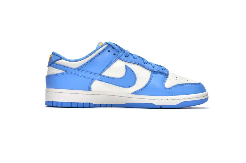 Nike dunk Coast Dunk Low Coast DD1503-100