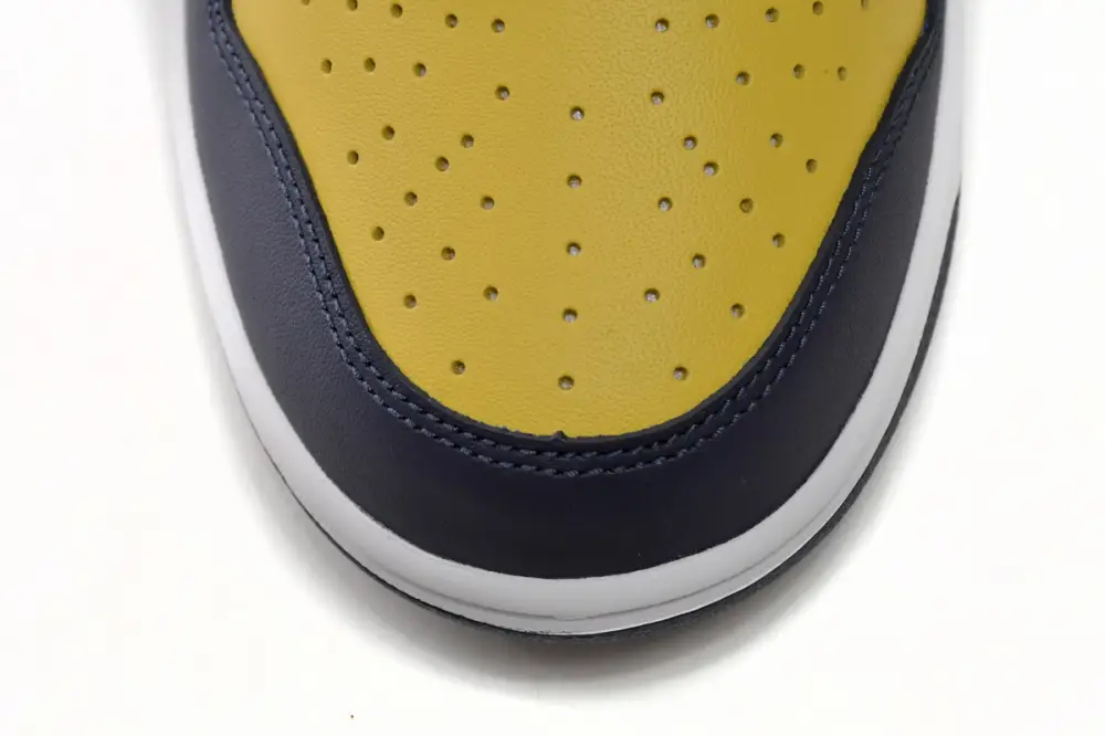 Nike DUNK Michigan Dunk Low Michigan DD1391-700