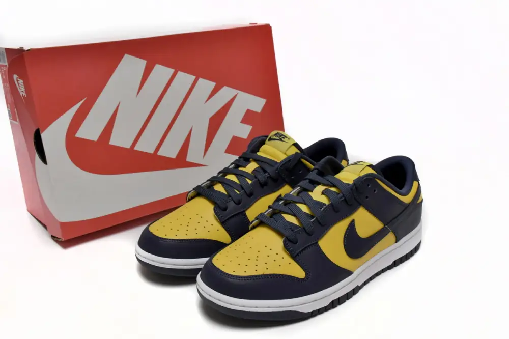 Nike DUNK Michigan Dunk Low Michigan DD1391-700