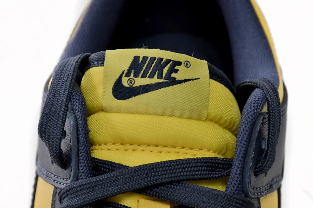 Nike DUNK Michigan Dunk Low Michigan DD1391-700