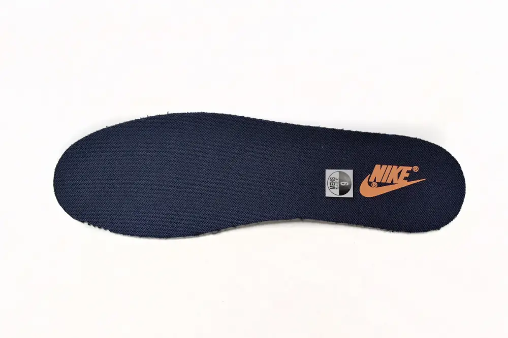 Nike DUNK Michigan Dunk Low Michigan DD1391-700