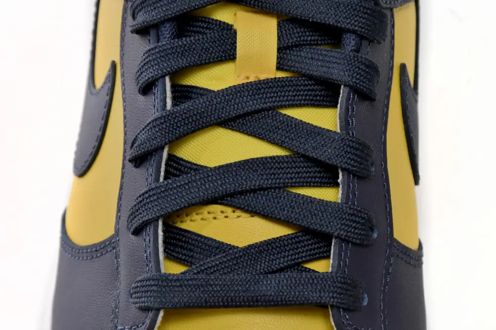 Nike DUNK Michigan Dunk Low Michigan DD1391-700