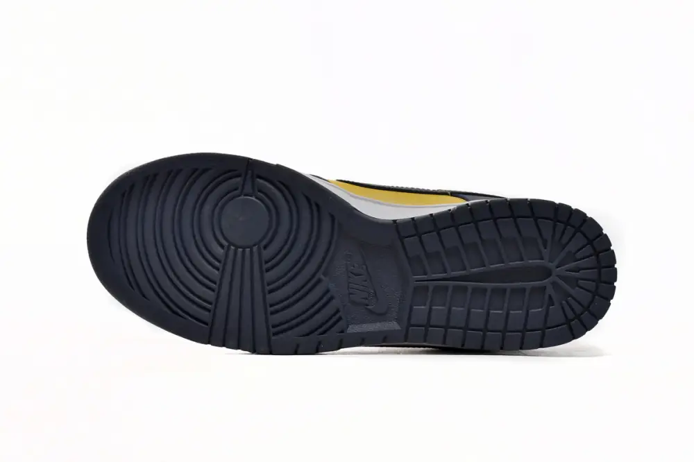 Nike DUNK Michigan Dunk Low Michigan DD1391-700