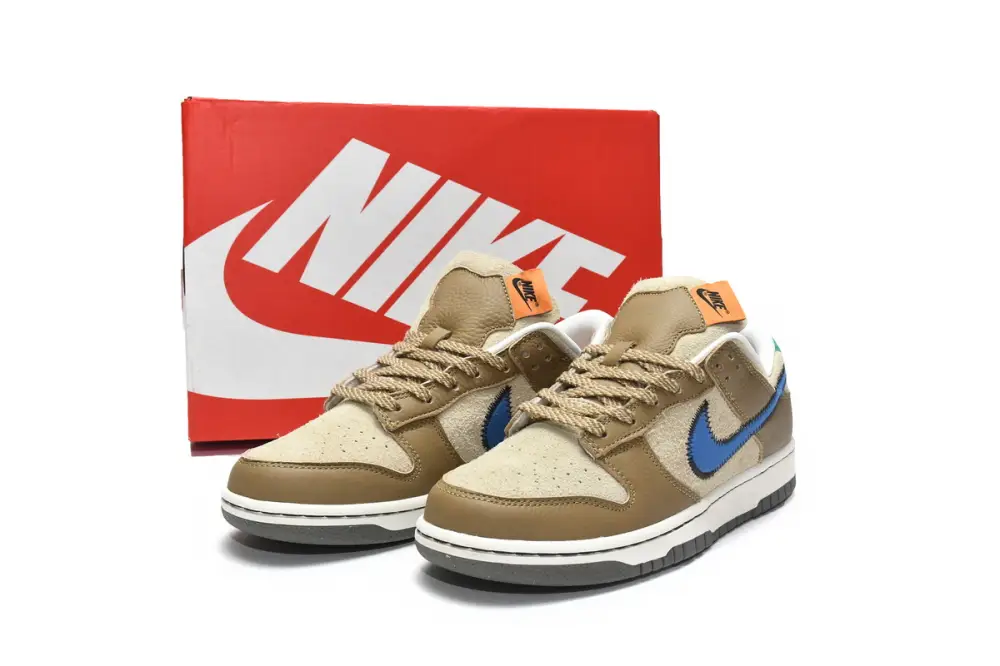 Size x Nike Dunk Low Brown DO6712-200 