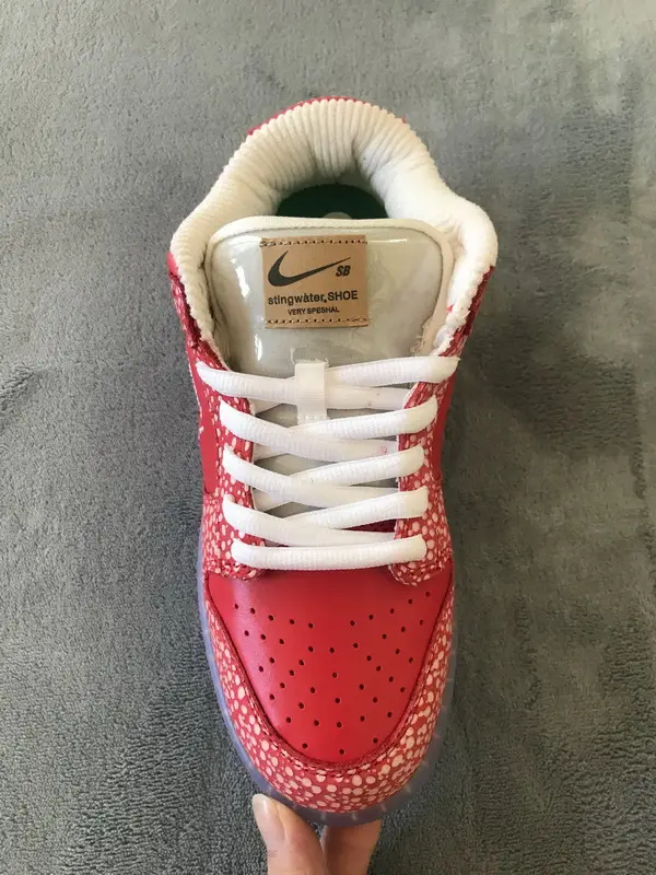 Stingwater x Nike SB Dunk Low OG QS Magic Mushroom DH7650-600 