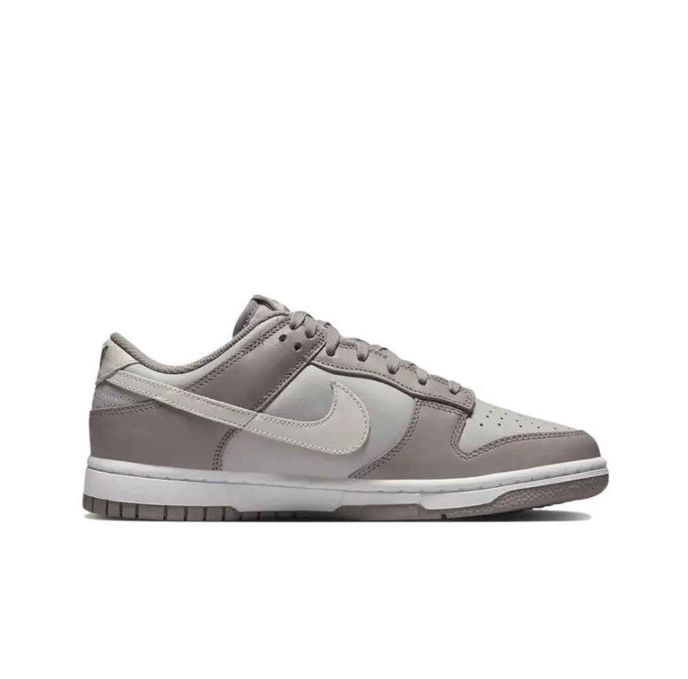 Nike Dunk Low Dunk Light Grey FD0792-001