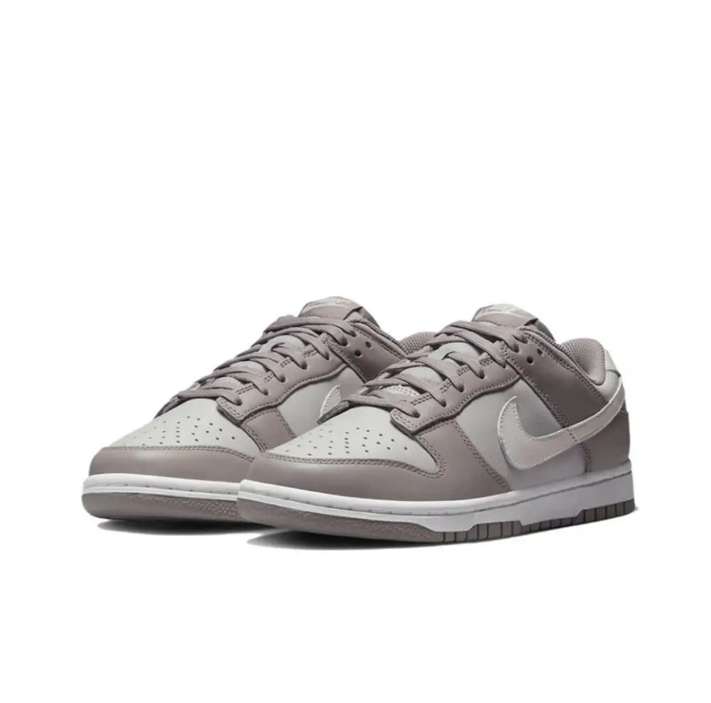 Nike Dunk Low Dunk Light Grey FD0792-001