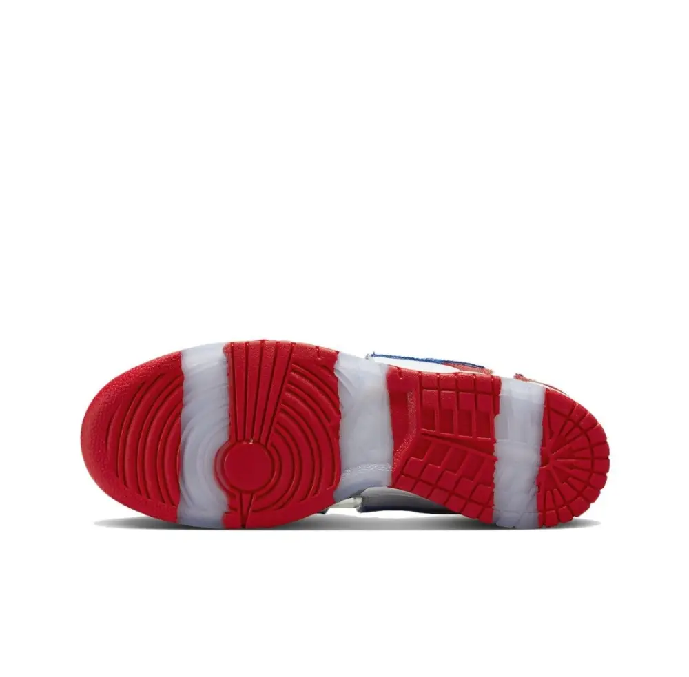 eBay x Nike xSB Dunk Low sneakers 