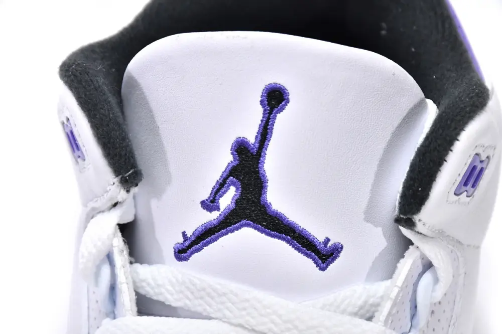 Air Jordan 3 copy Jordan 3 Retro Dark Iris CT8532-105