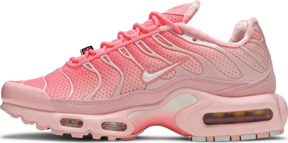 Air Max Plus 'City Special - Atlanta' (Nike Tn) DH0155-600 35E3A433