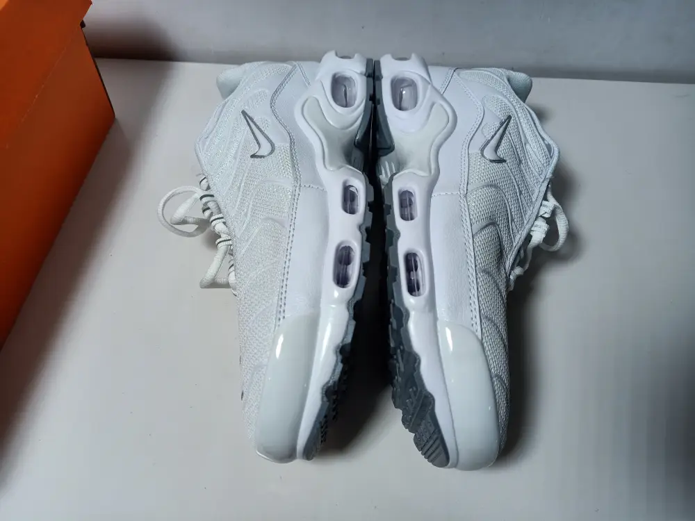 Air Max Plus  White (Nike Tn) 
