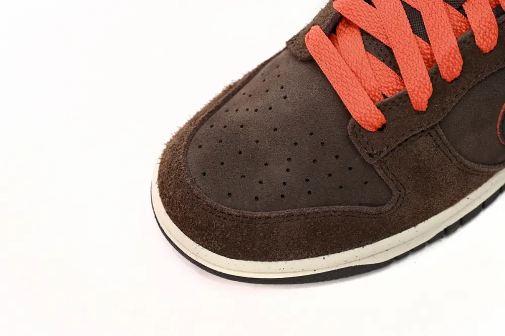 Nike Dunk Low Baroque Brown DQ8801-200 