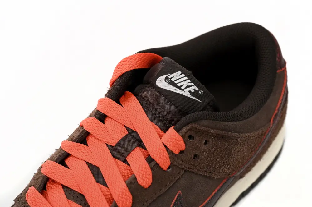 Nike Dunk Low Baroque Brown DQ8801-200 