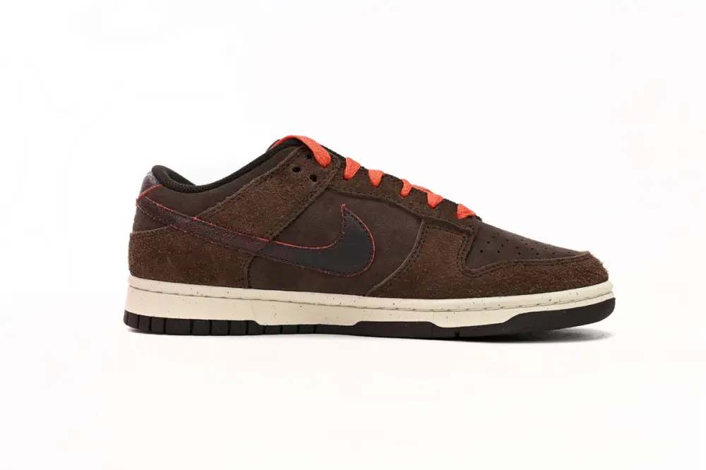 Nike Dunk Low Baroque Brown DQ8801-200 