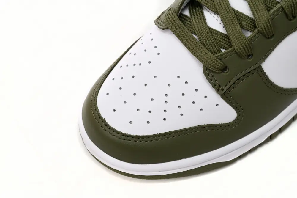 Nike Dunk Low White Scattered olive Green DD1503-200 