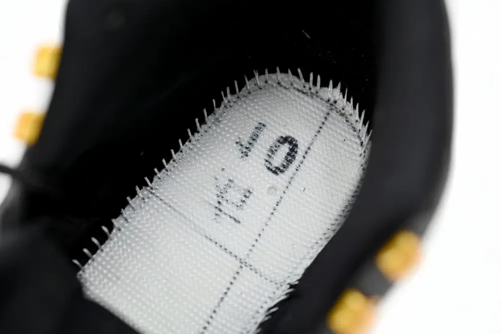 Air Jordan 12“Black Taxi” CT8013-071 