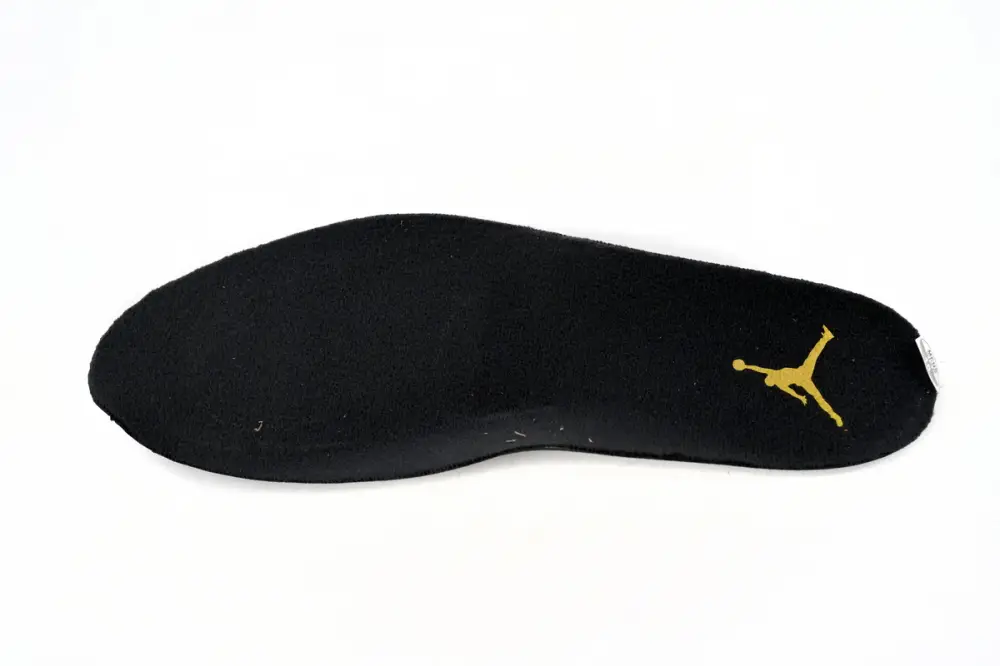 Air Jordan 12“Black Taxi” CT8013-071 