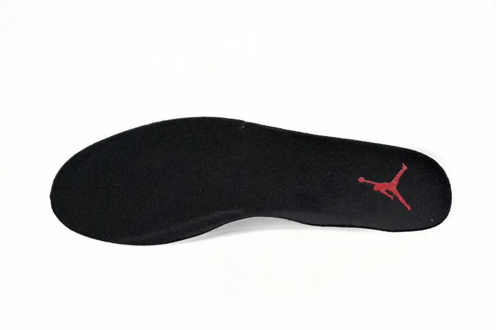 Air Jordan 12 Black And “Playoffs” CT8013-006 
