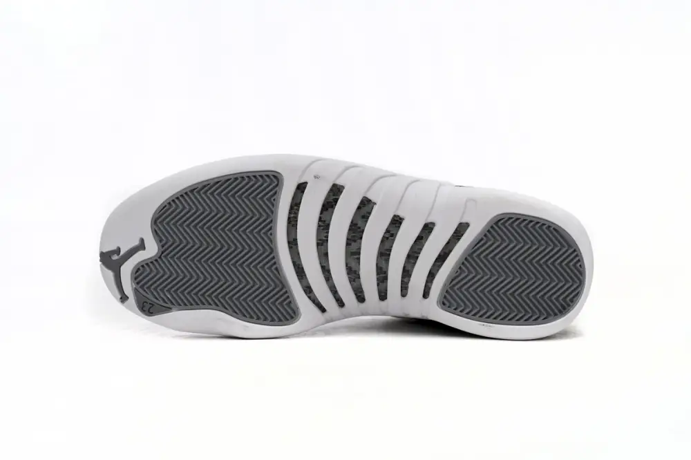 Air Jordan 12 “Stealth” CT8013-015 