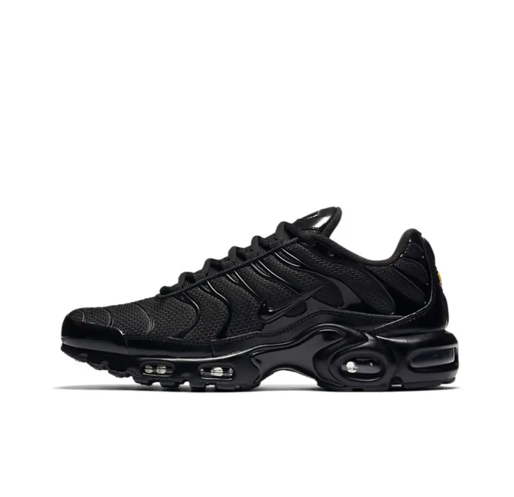 Nike Air Max Plus Triple Black 604133-050