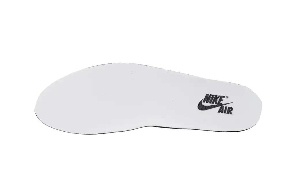 Air Jordan 1 Low OG Black Toe CZ0790-106 