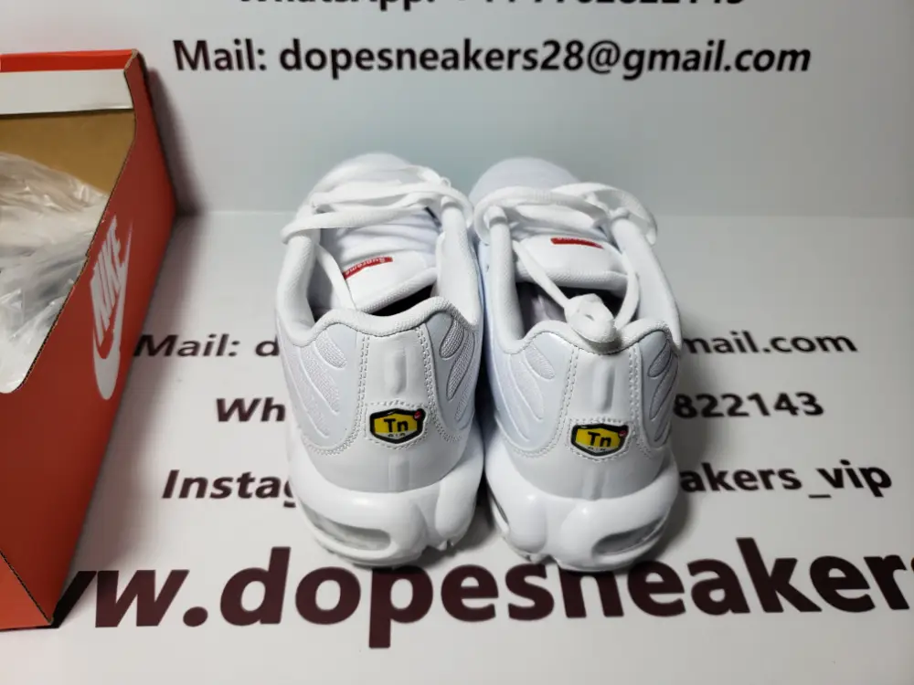 Nike Air Max Plus Supreme White  DA1472-100(TN) 