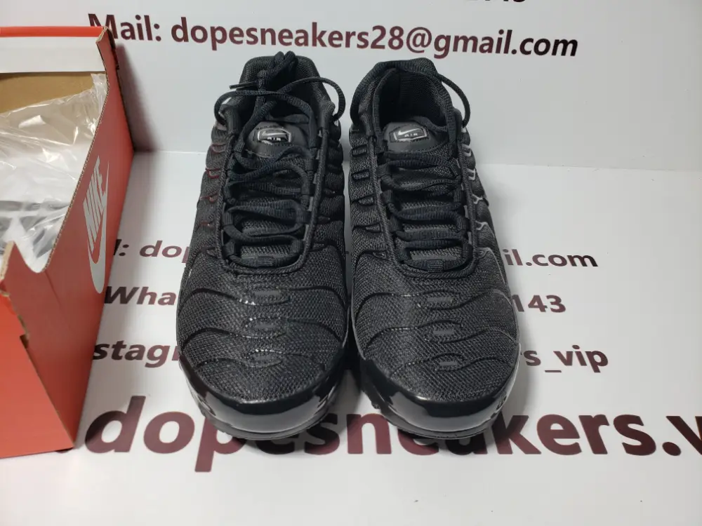Nike Air Max Plus Triple Black 604133-050 